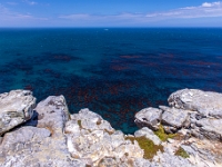Przylądek Dobrej Nadziei, Cape of Good Hope